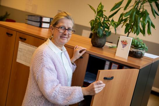 Ann Verstraelen